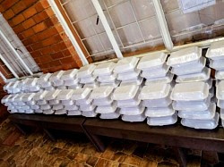 Youth activity photo